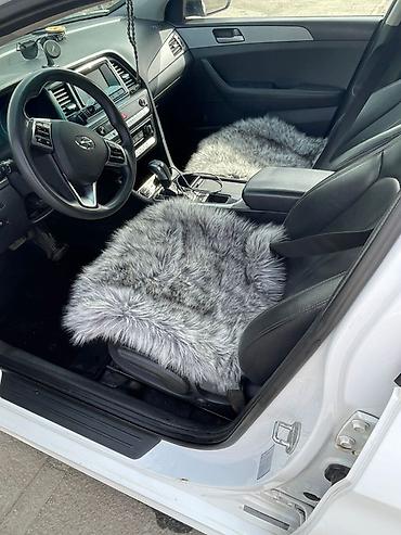 e60 m5: Hyundai Sonata: 2020 г., 2 л, Автомат, Бензин, Седан — 5