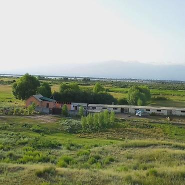 Продажа коттеджей и домов: Продается ферма в Джети-Огузском районе, Иссык-Кульская область — 2