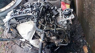 turbo az ceşqa 1 8: Universal auto NİSSAN, 2.5 l, Dizel, 2016 il, İşlənmiş — 4
