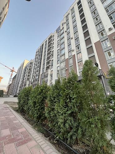1к: 1 комната, 44 м², АУЦА Элитка, 12 этаж, ПСО (под самоотделку) — 1