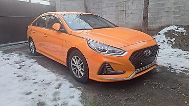 Hyundai: Hyundai Sonata: 2019 г., 2 л, Автомат, Седан — 1