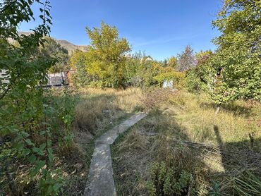 Продажа домов: Дача, 20 м², 2 комнаты, Агентство недвижимости, Косметический ремонт — 6