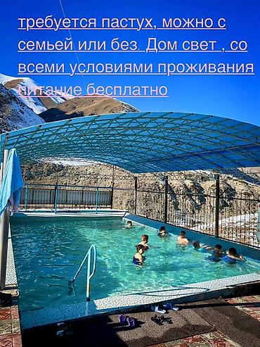 Требуется Пастух, Оплата: Ежемесячно, Питание at lalafo.kg Требуется Пастух, Оплата: Ежемесячно, Питание