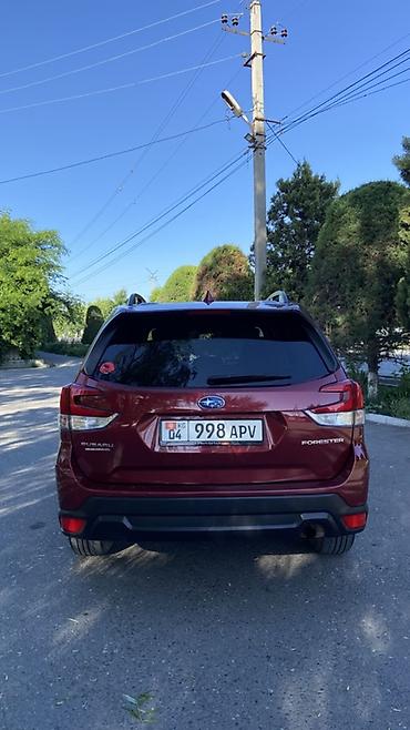 Subaru: Subaru Forester: 2020 г., 2.5 л, Вариатор, Бензин, Кроссовер — 4
