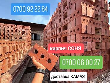 кирпич завод жал: Пустотелый, дырчатый, Жженый кирпич, Полублок, 250×120×88 — 1