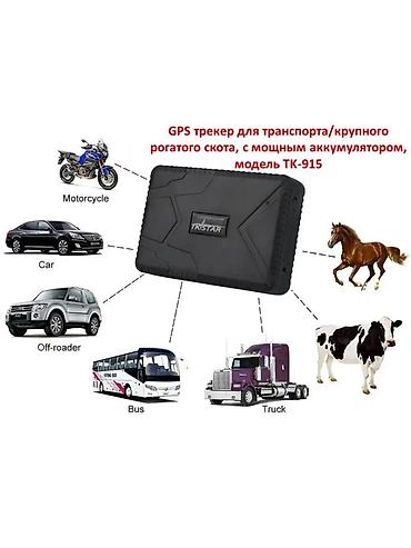 ат жаныбар: **дылкыларга жана машинага GPS Трекер TK-Star TK-915** - — 1