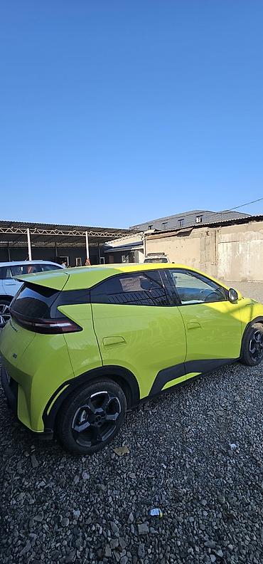 BYD: BYD Dolphin: 2023 г., Электромобиль, Хэтчбэк — 4