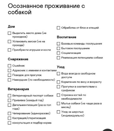 Продажа собак: 6 месяцев, Самка