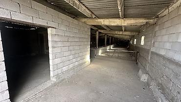 Продажа сельхоз предприятий: Кошара, 30 соток, Действующий, С оборудованием, Холодная вода, Скважина, Электричество — 4