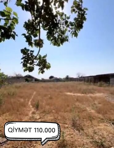 27 sot, Kupça (Çıxarış)