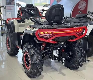 оптовая: Loncin Xwolf 1000L Mud Утилитарный квадроцикл китайского — 4
