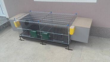 Domaće životinje: Prodaja pocinkovanih kaveza za koke, pilice i zeceve u kompletu sa — 6