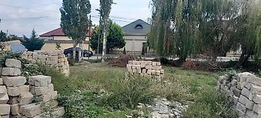 agac sekilleri: Kubiklər, Kredit yoxdur — 2