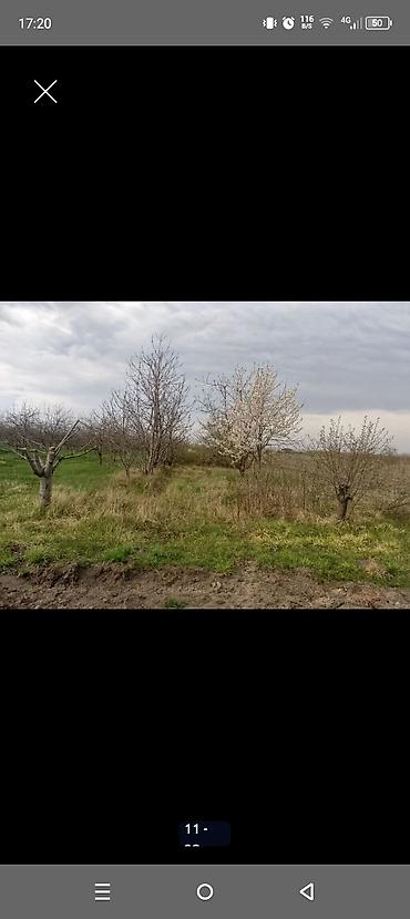 Torpaq sahələrinin satışı: Kənd təsərrüfatı — 10
