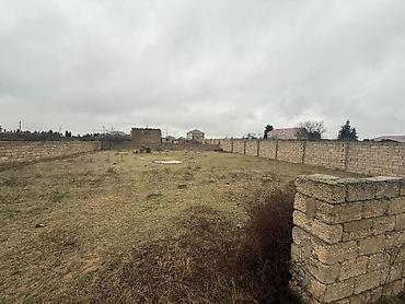 cepis satisi: 6 sot, Tikinti, Mülkiyyətçi, Kupça (Çıxarış) — 2