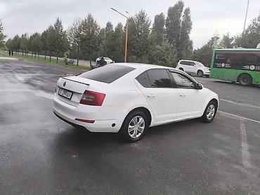 газ 53 донголок: Skoda Octavia: 2016 г., 1.6 л, Автомат, Седан — 1