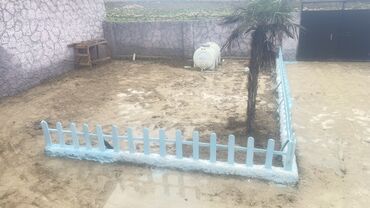 Bağ evlərinin satışı: Bakı, Binə, 85 kv. m, 3 otaqlı, Hovuzsuz, İşıq — 12