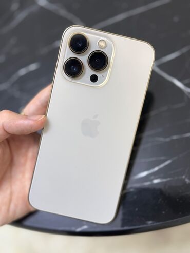 чехол для телефона fly cirrus 13: IPhone 13 Pro, 128 ГБ, Matte Gold, Отпечаток пальца, Face ID