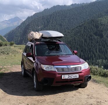 автомобиль субару форестер: Subaru Forester: 2010 г., 2.5 л, Автоматические, Газ, Кроссовер