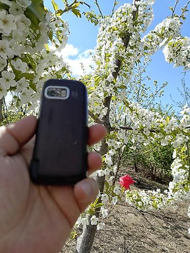 baseus bowie e3: Nokia 5800 Xpressmusic, < 2 GB Memory Capacity, rəng - Qəhvəyi, Sensor — 1