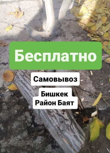 угольный склад шабыркуль бишкек: Дрова Орех, Самовывоз