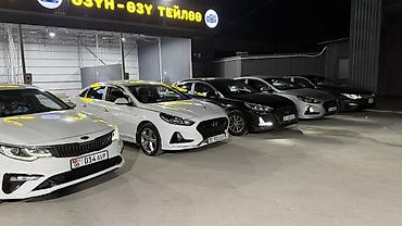 АРЕНДА АВТО В ОШ | ПРОКАТ МАШИН Нужна машина в аренду в г. Ош? 🚘 at lalafo.kg АРЕНДА АВТО В ОШ | ПРОКАТ МАШИН Нужна машина в аренду в г. Ош? 🚘