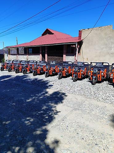 Мотороллеры муравей: Мотороллер муравей Электро, 60 км, 1500 кг и более, Новый, В рассрочку — 3