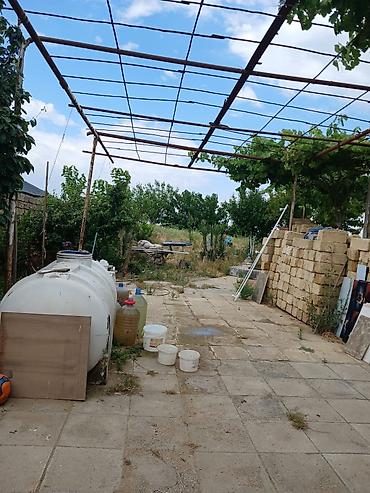 ev və bağ: Nardaran qəs. 3 otaqlı, 3 kv. m, Kredit yoxdur, Orta təmir — 2