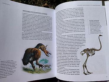 Другие книги и журналы: Книга «Динозавры» Новая, покупали в Букингем, нигде не порвано, не — 7