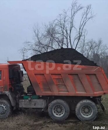 Ağaclar: Hər vaxtınız xeyir olsun dəyərli müştərilərimiz. Bizə vaxt ayırdığınız — 1