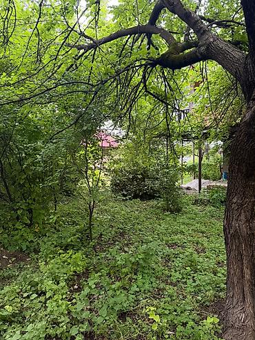 Bağ evlərinin satışı: Şəki, 82 kv. m, 3 otaqlı, Hovuzsuz, Su — 12