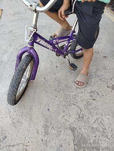 Детские велосипеды: Детский велосипед, 2-колесный, 4 - 6 лет — 2