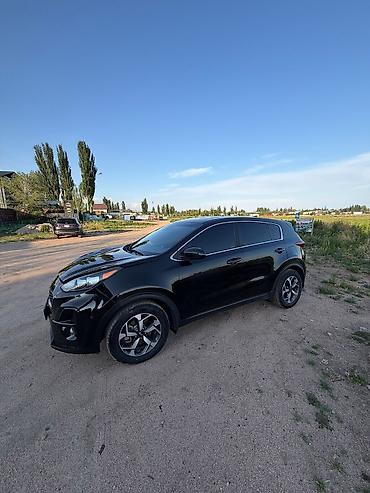 авто маркер: Kia Sportage: 2020 г., 2.4 л, Автомат, Бензин, Кроссовер — 3