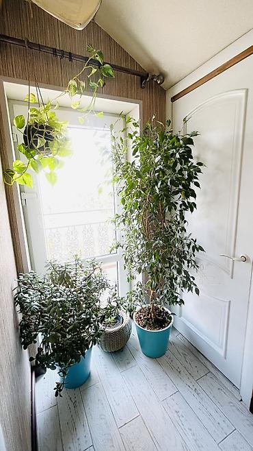 Продажа коттеджей и домов: Просторный двухэтажный дом с мансардой и готовой отделкой. Отличный — 9