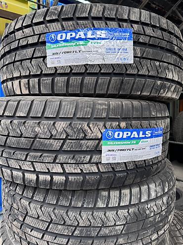 Шины 315 / 70 / R 17, Зима, Новый, Комплект, Легковые, Китай, Opals