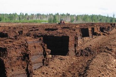 Грунт, чернозем: Торф кислый из Беларуси. Продаем в Бик Болях, продаем на развес