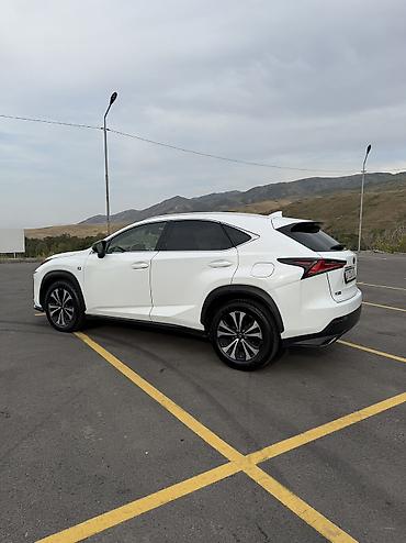 Транспорт: Lexus NX: 2018 г., 2 л, Автомат, Бензин, Кроссовер — 8