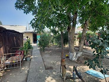 студия 1 комната: 3 комнаты, 17 м², Военно-Антоновка, Собственник — 5