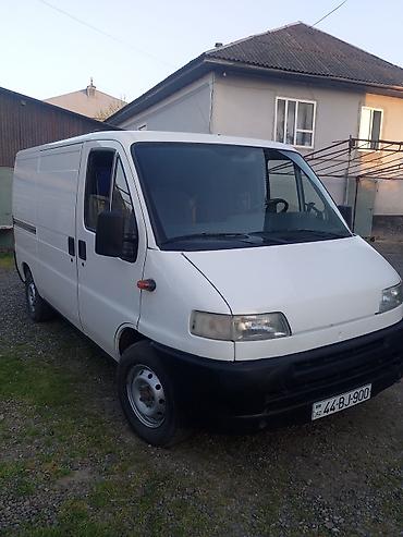 Fiat: Fiat Ducato: 2 l | Mikroavtobus — 13