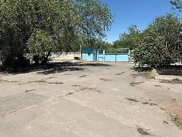 Продажа участков: 857 соток — 11