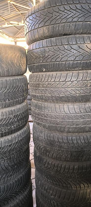 continental: Шины 205 / 55 / R 16, Всесезонная, Б/у, Легковые, Германия, Continental — 1