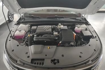 BYD: BYD : 1.5 l | 2024 il 55 km Sedan — 30