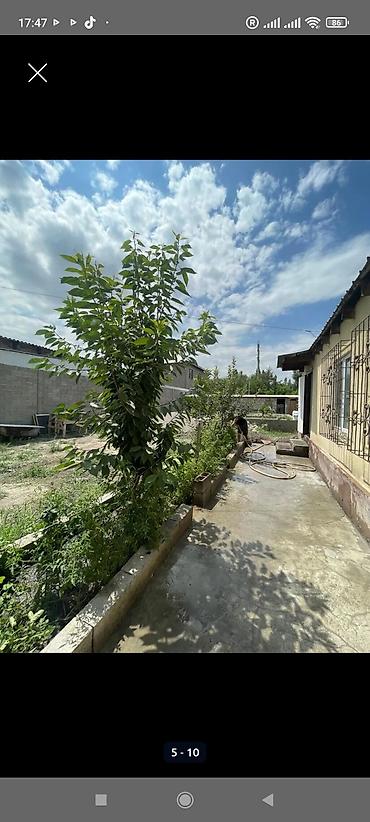 отдых в радуге west: 2 комнаты, 36 м², 4 соток, Новопокровка, Собственник — 9
