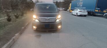 Toyota: Toyota Alphard: 2010 г., 3.5 л, Автомат, Бензин, Минивэн