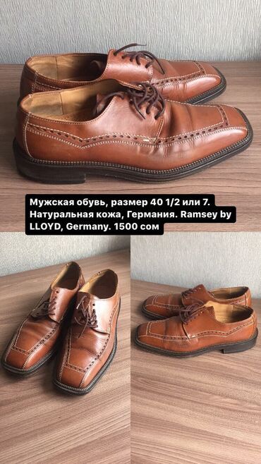 ramsey: Мужские кожаные туфли Цвет: коричневый Производство: Германия Бренд