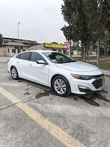 Chevrolet: Chevrolet Malibu sedan iL 2021 - Kuzov: ağ rəng, 4 qapı, aerodinamik — 9