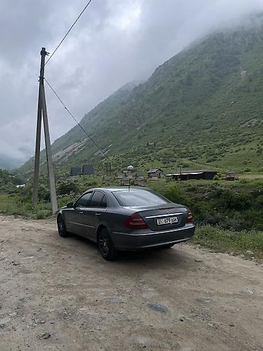 команд w220: Mercedes-Benz E-Class: 2008 г., 3 л, Автомат, Дизель, Седан — 4
