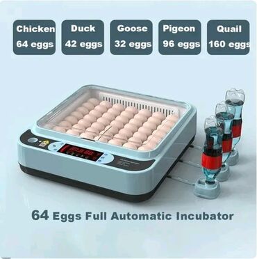 kosulja 5: Inkubator automatski za 64 jaja Novi model Pametnog automatskog