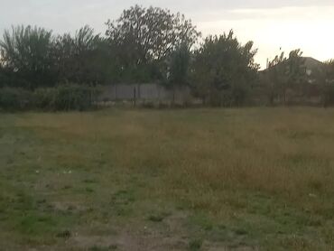 Torpaq sahələrinin satışı: 24 sot, Tikinti, Mülkiyyətçi, Texniki pasport — 1