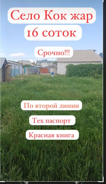 жер ак босого: 16 соток, Бизнес үчүн, Кызыл китеп